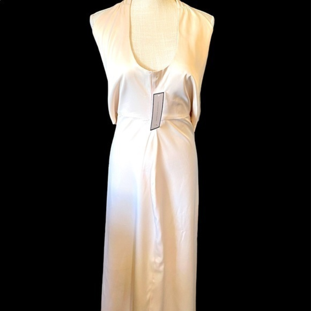 NWT Goodnight Macroroon size large beautiful dress cream color open back